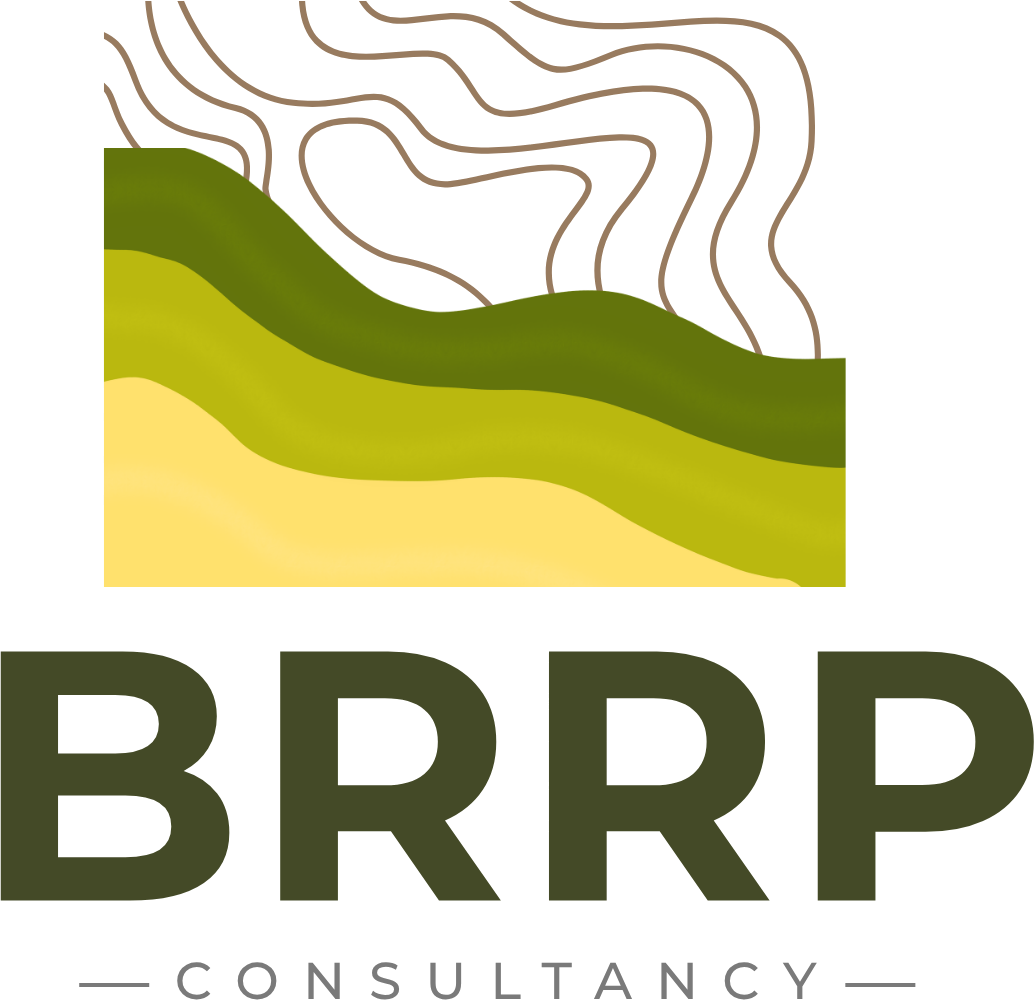 BRRP Consultancy Logo